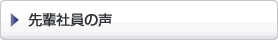 先輩社員の声
