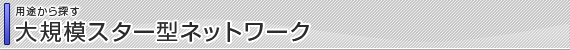 ネットワーク構成：大規模スター型ネットワーク