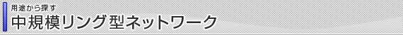 ネットワーク構成：中規模リング型ネットワーク