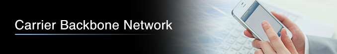 Carrier Backbone Network